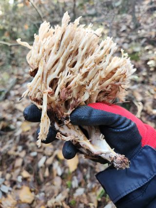 김영옥님의 자유주제 · 자유게시판 작성글 사진