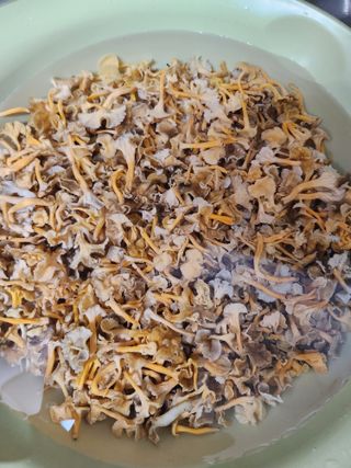 김영옥님의 자유주제 · 자유게시판 작성글 사진