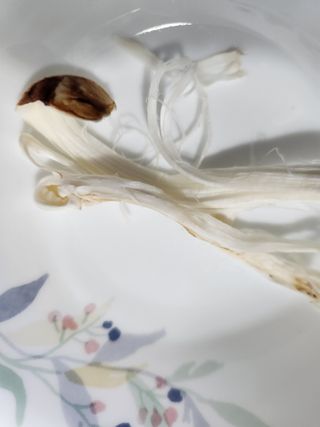 김영옥님의 자유주제 · 자유게시판 작성글 사진