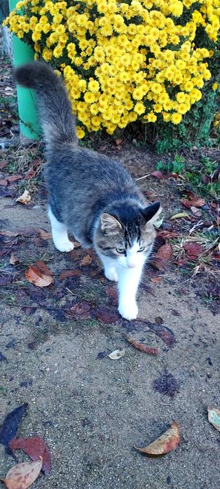 안재성님의 자유주제 · 사진전 작성글 사진