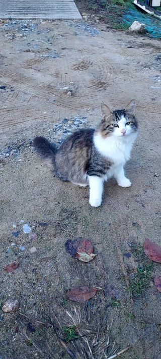 안재성님의 자유주제 · 사진전 작성글 사진