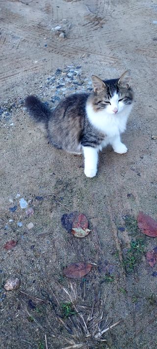 안재성님의 자유주제 · 사진전 작성글 사진