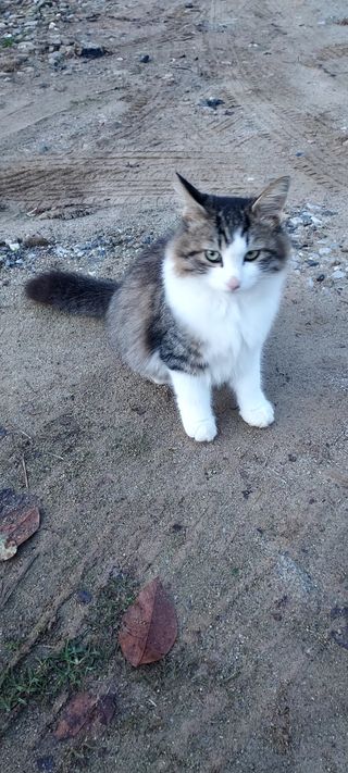 안재성님의 자유주제 · 사진전 작성글 사진