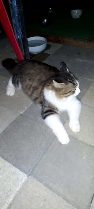 안재성님의 자유주제 · 사진전 작성글 사진