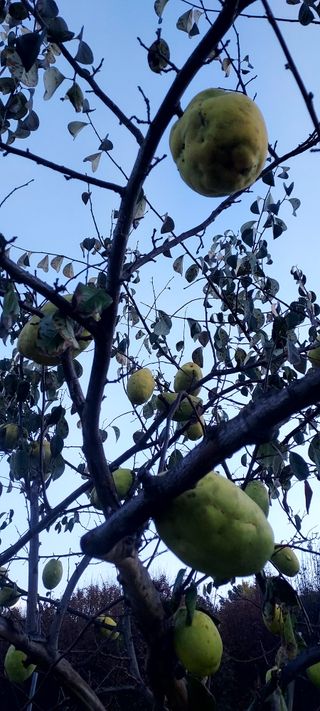 안재성님의 자유주제 · 사진전 작성글 사진