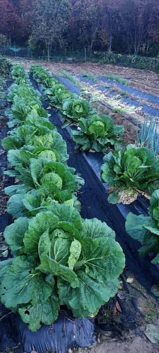 안재성님의 자유주제 · 사진전 작성글 사진