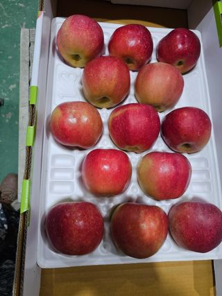 흥선혜경님의 자유주제 · 자유게시판 작성글 사진