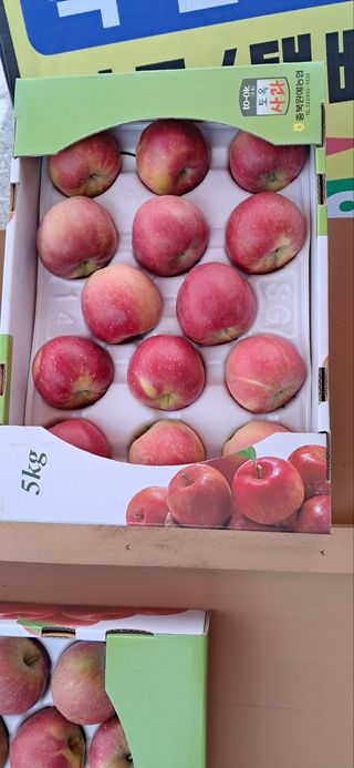 흥선혜경님의 자유주제 · 자유게시판 작성글 사진