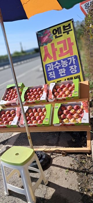 흥선혜경님의 자유주제 · 자유게시판 작성글 사진