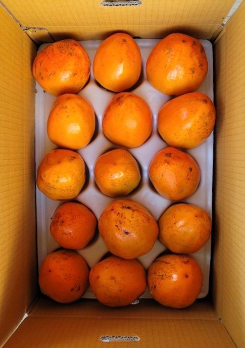 장터 상품 [대봉감 10kg] 썸네일