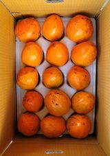 팜모닝 · 게시글 이미지