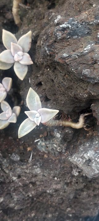 안재성님의 자유주제 · 사진전 작성글 사진