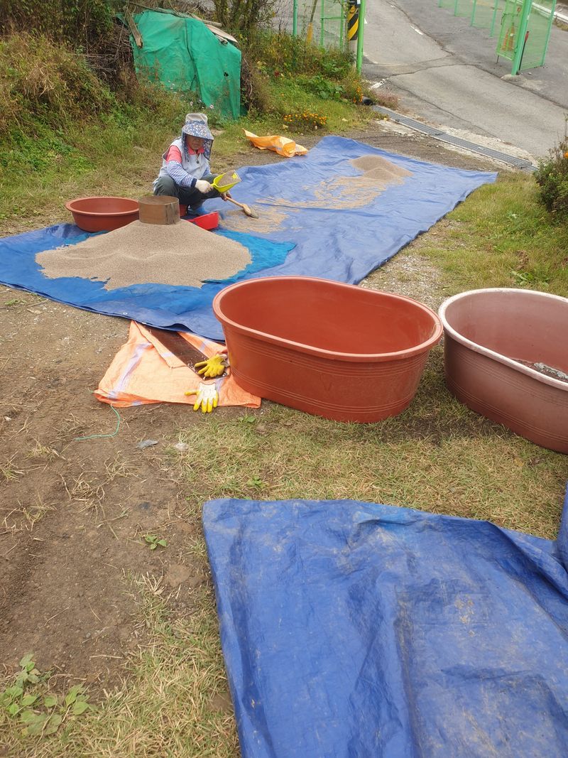 장터 상품 [24년 들깨 5kg] 썸네일