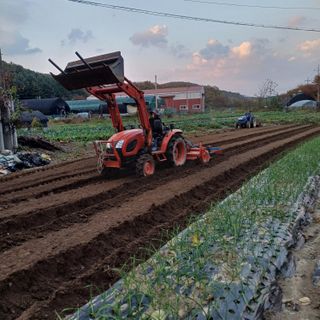 삼성농산님의 마늘 · 토양준비 작성글 사진