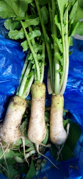 범이님의 자유주제 · 자유게시판 작성글 사진