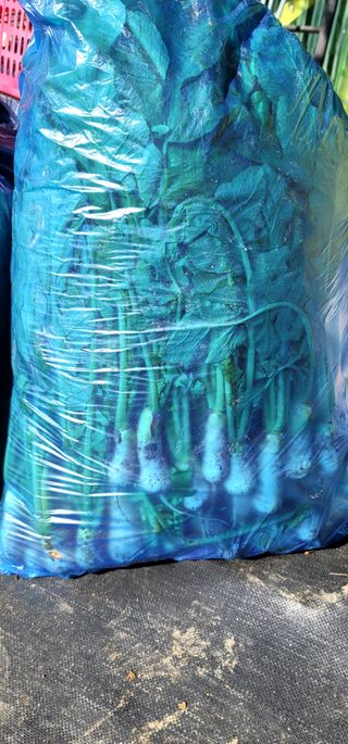 범이님의 자유주제 · 자유게시판 작성글 사진