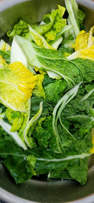 범이님의 자유주제 · 자유게시판 작성글 사진