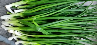 범이님의 자유주제 · 자유게시판 작성글 사진