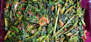 범이님의 자유주제 · 자유게시판 작성글 사진