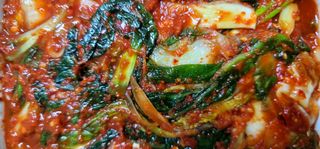 범이님의 자유주제 · 자유게시판 작성글 사진