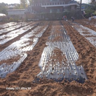 이천산수유님의 11월 농사 계획 공유하기 · 참여글 작성글 사진