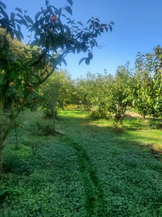 복주농장님의 기타작물 · 영농일지 작성글 사진