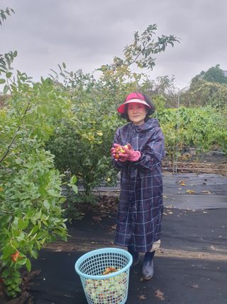 대자유인님의 기타작물 · 영농일지 작성글 사진