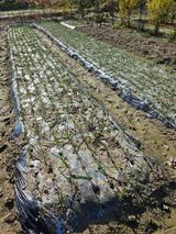 팜모닝 자유주제·자유게시판 게시글 이미지