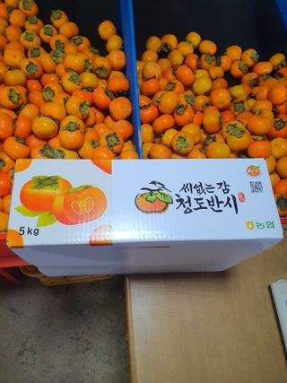 반시님의 감 · 영농일지 작성글 사진