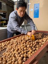 팜모닝 기타작물·영농일지 게시글 이미지