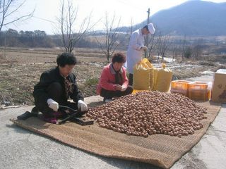 이명기님의 기타작물 · 영농일지 작성글 사진