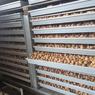 이명기님의 기타작물 · 영농일지 작성글 사진