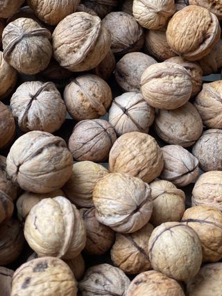 이명기님의 기타작물 · 영농일지 작성글 사진