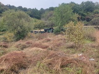 박석중님의 감 · 영농일지 작성글 사진