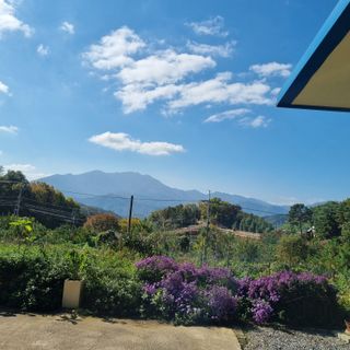 훈&팜님의 배추 · 영농일지 작성글 사진