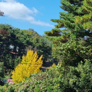 훈&팜님의 배추 · 영농일지 작성글 사진