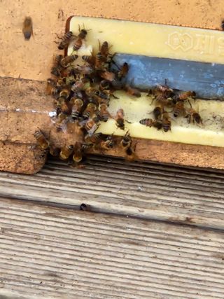 김근미님의 11월 농사 계획 공유하기 · 참여글 작성글 사진