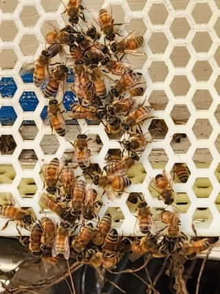 김근미님의 11월 농사 계획 공유하기 · 참여글 작성글 사진