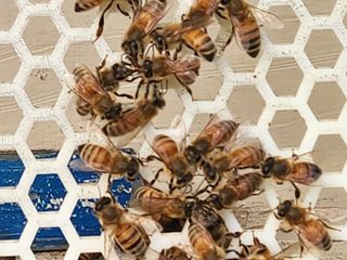 김근미님의 11월 농사 계획 공유하기 · 참여글 작성글 사진