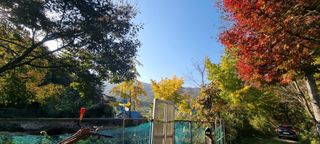 달방구님의 들깨 · 영농일지 작성글 사진