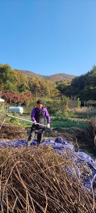 달방구님의 들깨 · 영농일지 작성글 사진