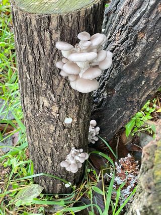 원영님의 자유주제 · 자유게시판 작성글 사진