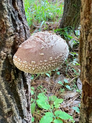 원영님의 자유주제 · 자유게시판 작성글 사진