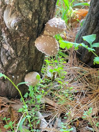 원영님의 자유주제 · 자유게시판 작성글 사진