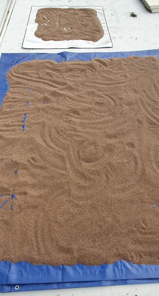 슈퍼맨님의 들깨 · 영농일지 작성글 사진