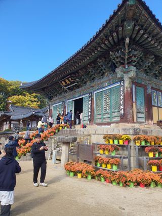 김영복님의 자유주제 · 자유게시판 작성글 사진