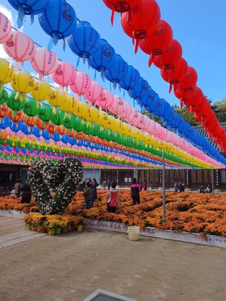 김영복님의 자유주제 · 자유게시판 작성글 사진