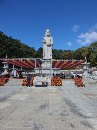 김영복님의 자유주제 · 자유게시판 작성글 사진