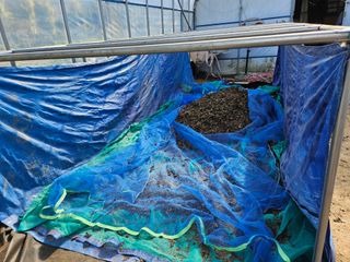 마중물0715님의 들깨 · 영농일지 작성글 사진