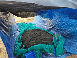 마중물0715님의 들깨 · 영농일지 작성글 사진